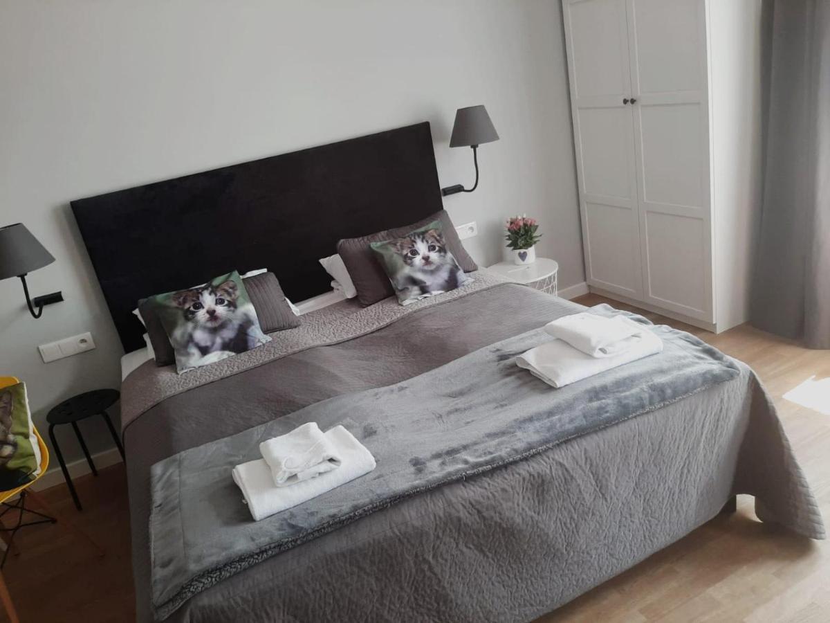 Apartamenty Koci Ogon Stary Toruń Extérieur photo