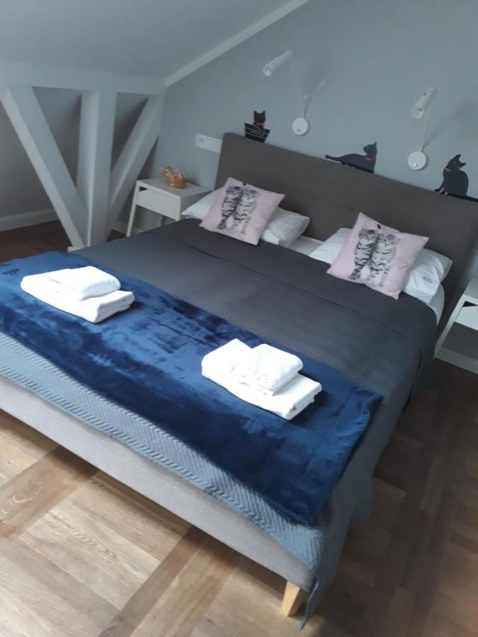 Apartamenty Koci Ogon Stary Toruń Extérieur photo